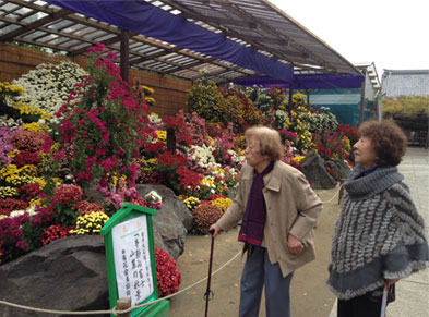 写真:過去の外出写真