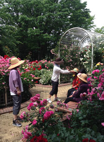 写真:過去の外出写真