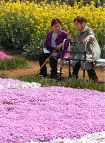 写真:過去の外出写真