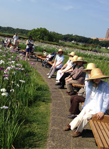 写真:過去の外出写真