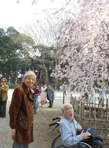 写真:過去の外出写真