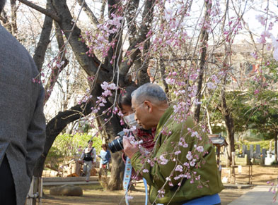 写真:過去の外出写真